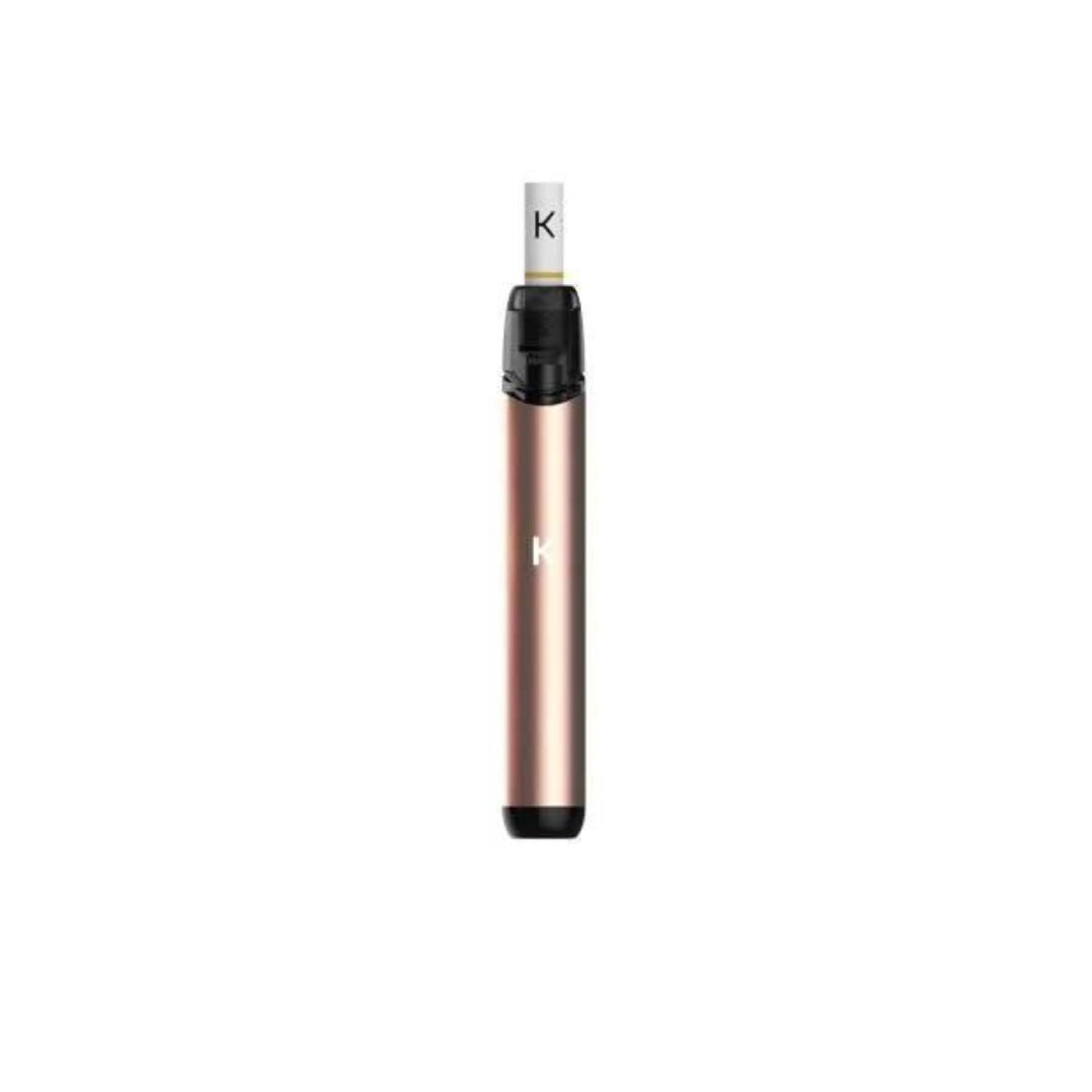 Pen Kiwi 1