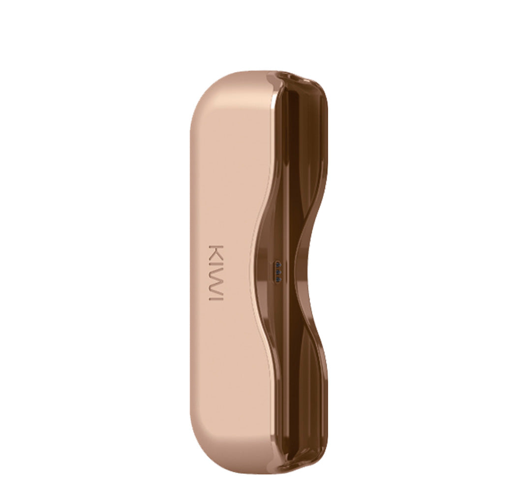 Power Bank Kiwi 1