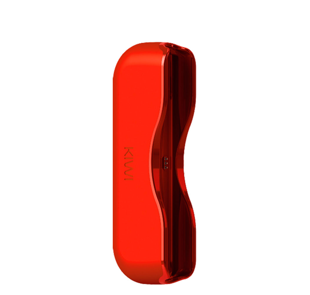Power Bank Kiwi 1